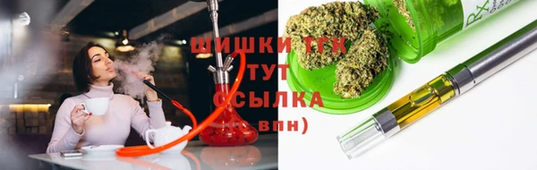 СК Богородицк