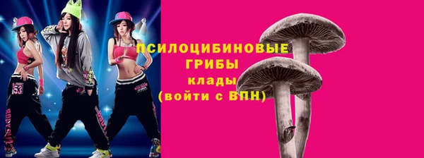 бошки Богданович