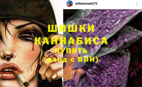 бошки Богданович
