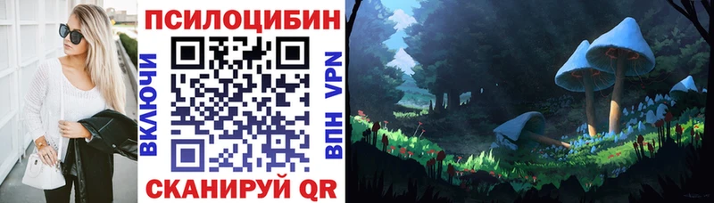 Купить закладки  Пудож  Галлюциногенные грибы GOLDEN TEACHER 